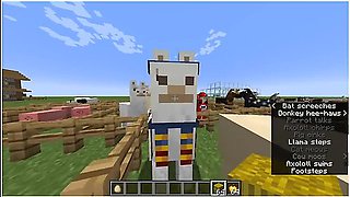 How To Have Sex In Minecraft Without Mods