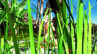 Outdoor hot xxx! Big Black Cock pounds hard a sexy blondie in the island
