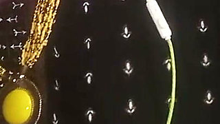 Tamil Hot Housewife Secret Fucking
