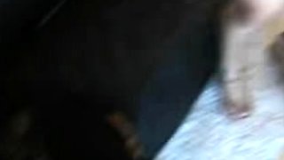 Cute amateur brunette gives pov blowjob and fuck