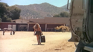 Harvest of Passion - the Ranch Hand