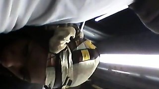 Brain's Blowjob on the Bus