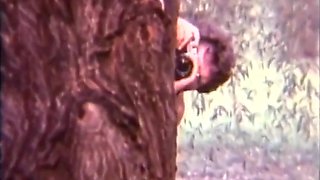 Eric Edwards In Naughty Vintage Babes 6