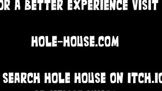 Mad Moxxi Double Dildo Sex Machine - Hole House