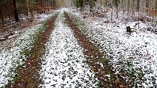 Naked Through the Woods and Beating Breasts Warm