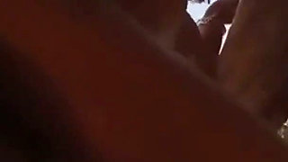 We walk in the bush and have sex on top of a tree trunk