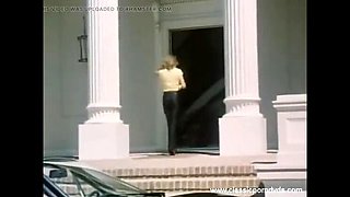Marilyn Chambers Insatiable Classic Porn DVD
