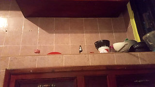 Chubby mom in the kitchen showing thong 2