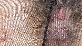 Open Wet Bush and Hairy Ass in Pantyhose (close-up) Facesitting POV