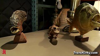 Pawn Shop Heist Seductive Spy Tracks [censored] Family Heirloom and Confronts Thief