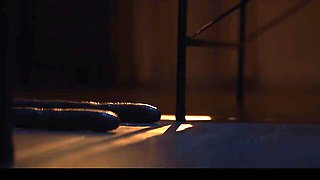 Hentaied - cum in pussy action