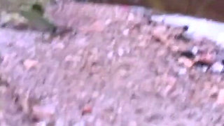 Cum Slut Wife Amy Johnson Sucks off Her Husband in the Woods