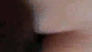 Busty Wifey Devours Huge Cock nn