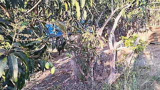 18 YEAR OLD TEEN CAUGHT A FARMBOY JERKING ON HER WHILE PICKING FRUITS ON TREE