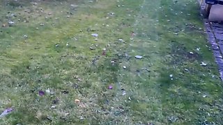 Pulled amateur euro blonde outdoor bj and she takes it deep