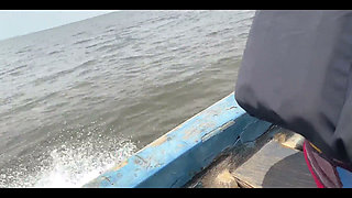 A Journey Through the Sea