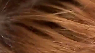Melanie Masters Lingerie Blowjob Cum Swallow