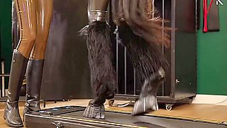 Rubber Pony Play: Bridle Up And Training On The Treadmill