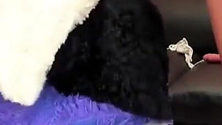 Pussy Devouring the Whole Dildo