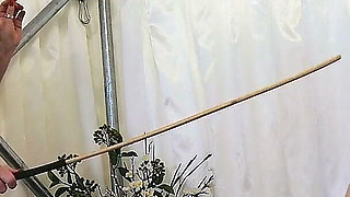 The Cane Connoisseur, Madam M Delivers Severe Traditional Caning, Corporal Punishment, Obedience and Endurance.
