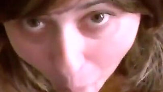 The Daily Swallow