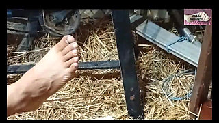 Worshipping the Feet of My Lord 2