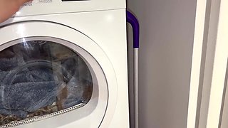 Dumb Blonde In Helping A Dumb College Blonde Do Her Laundry - Oliver Chase