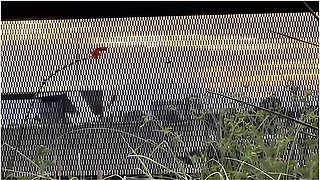 I Cheated On My Girlfriend With A 18 Year Old Emo Goth Latina With Tattoos And Came Inside Her