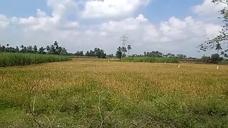 Tamil village housewife Priyanka314 shows off her big boobs in homemade video