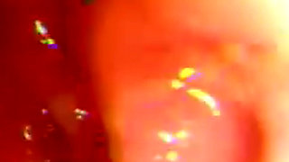 Inside Me the Journey of the Orange