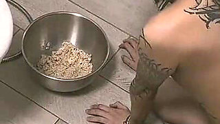 Pavlovian Bowl Training