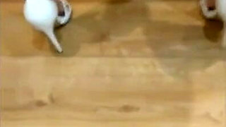Compilation housewife pee
