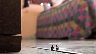 Giantess Hajar - The Sleeping Giantess Tiny Thieves Fx